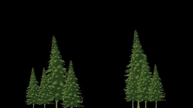 A cluster of trees with lush green leaves animated in a 3D animation against a black background from a front viewpoint