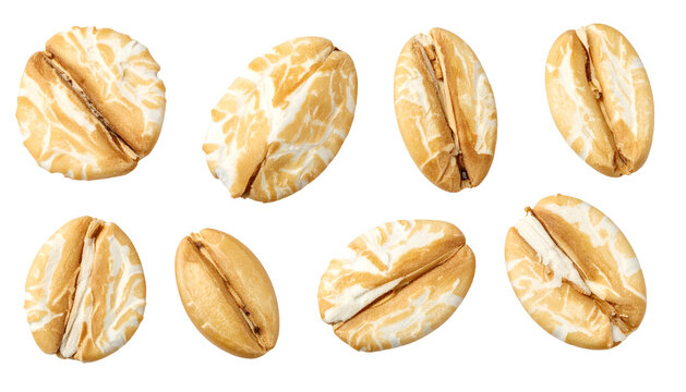 Close-up of eight oat groats with natural textures against a stark black background