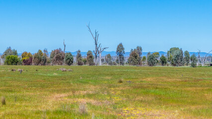 Winton Wetlands Reserve