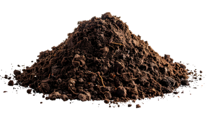 A small pile of rich, dark brown soil with visible texture and organic matter