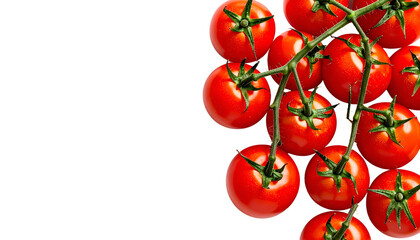 Ripe red tomatoes on vine, clustered with green stems, arranged on black background