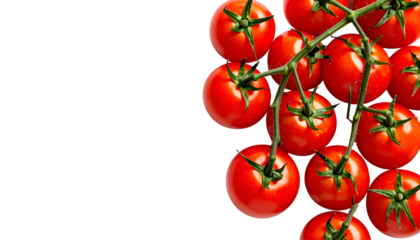 Ripe red tomatoes on vine, clustered with green stems, arranged on black background