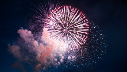 Colorful Fireworks Burst Night Sky