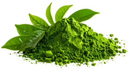 Bright green matcha powder with fresh green tea leaves, isolated on black background