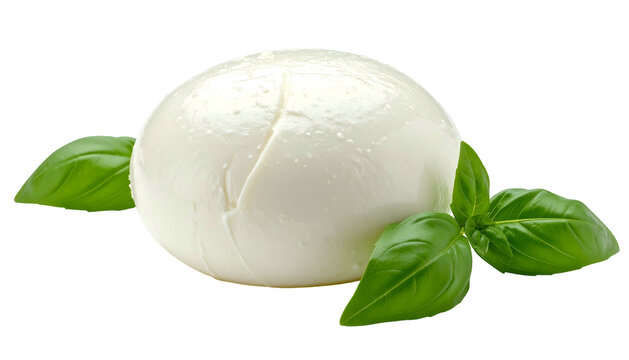 A fresh, white mozzarella ball rests beside green basil leaves, set against a dark backdrop