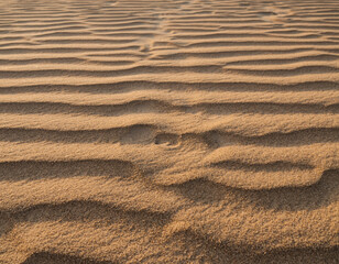 Fototapeta premium ripples in the sand