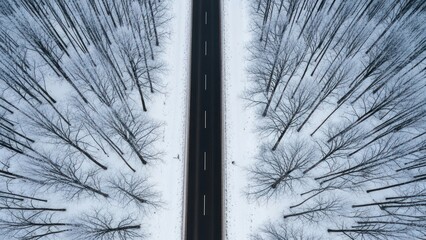 Aerial shot of a straight road bisecting a snowy forest, trees symmetrical