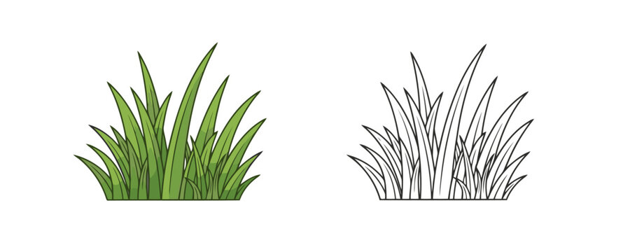 Vibrant green grass bush tuft shown as colored cartoon icon and black and white line art coloring page for kids on plain white background