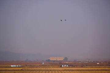 A far-flung view of the countryside