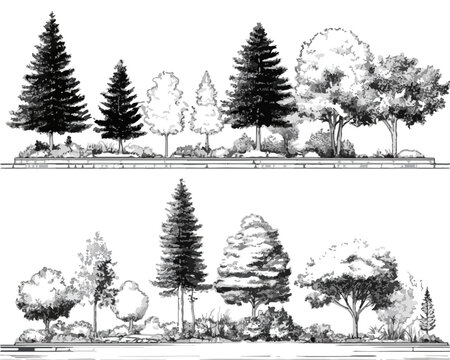Illustration vectorielle dessin&eacute;e &agrave; la main d'arbres et d'arbustes vari&eacute;s, id&eacute;ale pour les plans d'am&eacute;nagement paysager et les ressources graphiques transparentes.