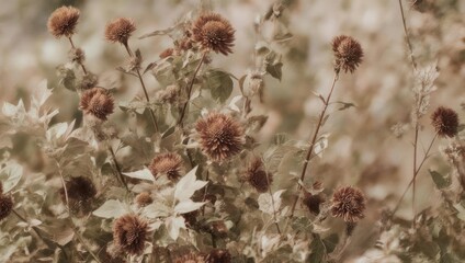 Faded Floral Still Life - A Vintage Garden in Sepia Tones.