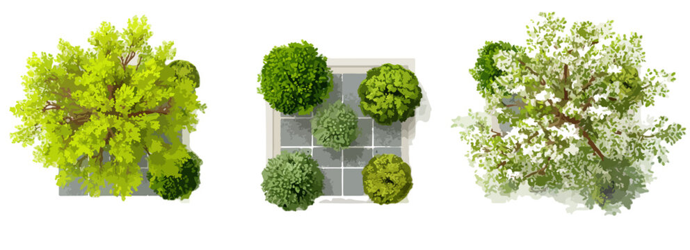 Trois groupes de plantes vertes et fleuries, vus du dessus, isol&eacute;s sur fond blanc, id&eacute;aux pour des designs architecturaux ou paysagers transparents.