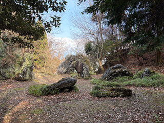 庭石のような石群