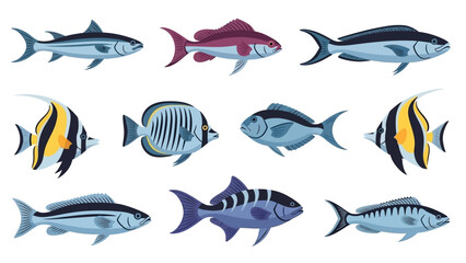 Collection of diverse aquatic fish illustrations in various colors and species