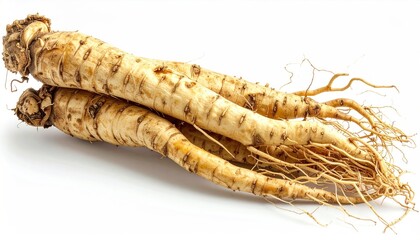 Freshly Harvested Ginseng Roots on White Background.