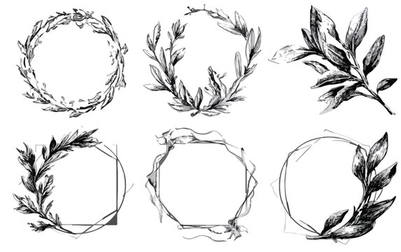 Sechs handgezeichnete, transparente botanische Kr&auml;nze und Rahmen im Vintage-Skizzenstil, ideal f&uuml;r elegante Designprojekte.