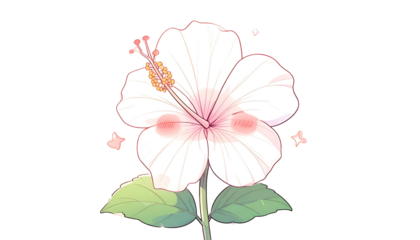 An illustrated white hibiscus flower with blushing cheeks, stem, and leaves on a black background