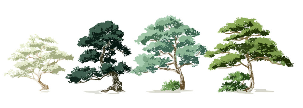 Set di quattro alberi stilizzati in diverse tonalit&agrave; di verde e forme uniche, ideale per design su sfondo trasparente.