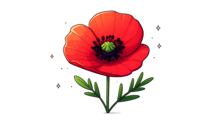 A vivid red poppy flower in full bloom, with green stem and leaves, on a stark black background