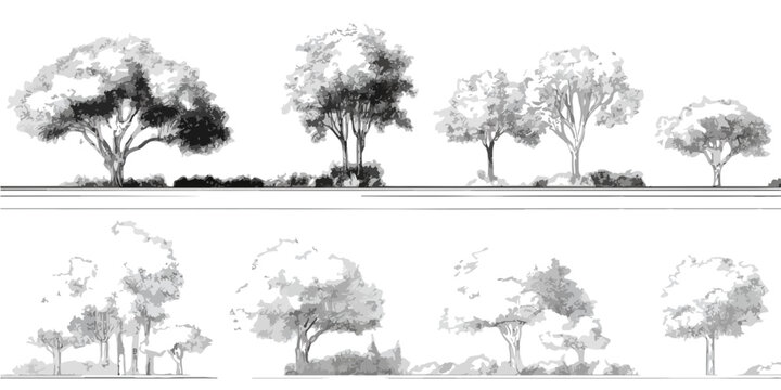 Illustrazioni schizzate a mano di alberi e arbusti per progetti architettonici e di paesaggio, con sfondo trasparente.