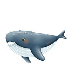 dolphin isolated on white