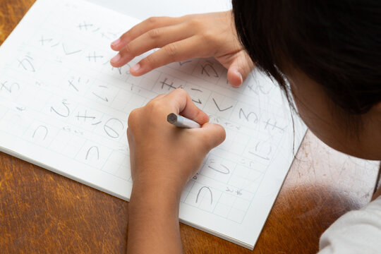 宿題をする小学生