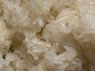 background of rice
