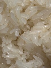 close up of a white rice
