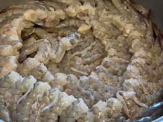 octopus on the market