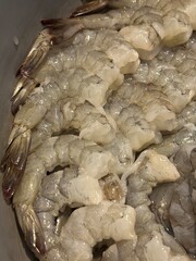 fresh fish on the market