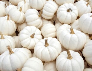 A close-up of a pile of small, white, decorative gourds