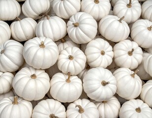 A close-up of a pile of small, white pumpkins