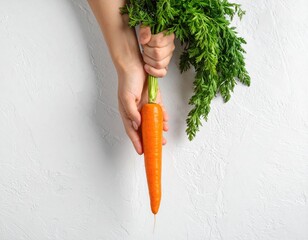 Hands holding a vibrant orange carrot with its leafy green top against white