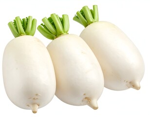 Three white elongated root vegetables with green tops