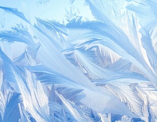 Frost patterns on a window, intricate & feathery