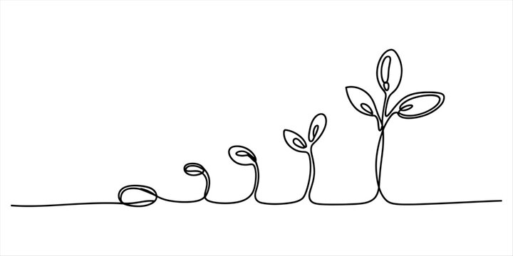 A continuous line art drawing illustrating the various stages of plant growth from seed to seedling Vector, illustration