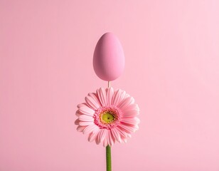 Pink egg atop pink gerbera on stem against pink background