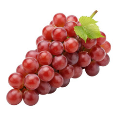 Fototapeta premium Plump red grapes cluster with green leaf