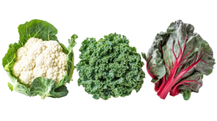 Cauliflower Swiss chard and kale three leafy winter crops together on transparent background