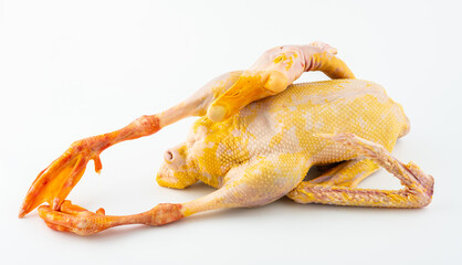 A fresh, large goose against a white background. © Lili.Q