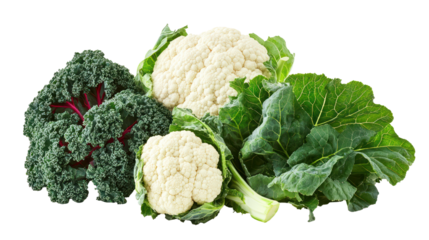 Cauliflower Swiss chard and kale three leafy winter crops together on transparent background