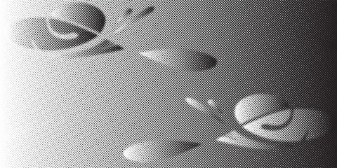 Two stylized snails with swirling shells and antennae depicted in a minimalist graphic style. © MohSholeh