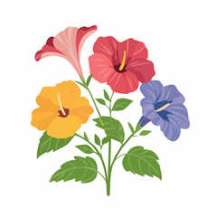 Colorful hibiscus flowers with green leaves