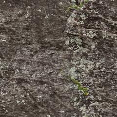 Seamless Rock Surface Texture