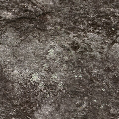 Seamless Rock Surface Texture