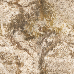 Seamless Rock Surface Texture