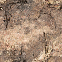 Seamless Rock Surface Texture