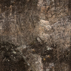 Seamless Rock Surface Texture