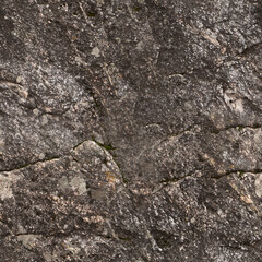 Seamless Rock Surface Texture