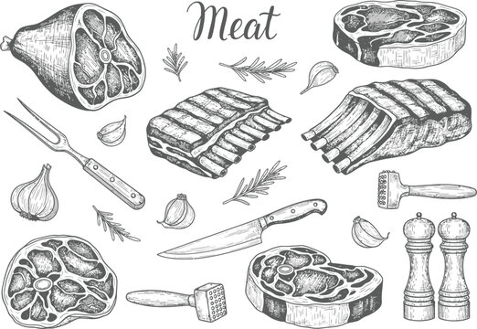 Collection of raw meats and butchery tools in vintage sketch style